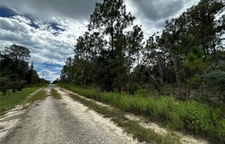 NE 149TH Court, WILLISTON, FL 32696