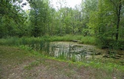 0 ATHEY, Harrison, MI 48625