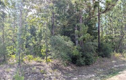 7676 LOS PADRES Avenue, Keystone Heights, FL 32656