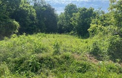 420 Blacks Ferry Road, Burkesville, KY 42717