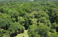 Maple, Maud, TX 75567