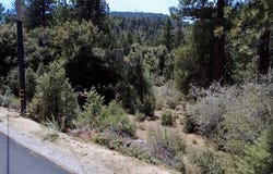 2313 Askin Ct., Pine Mountain Club, CA 93222