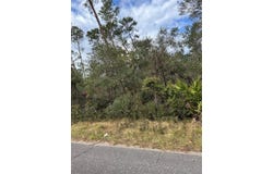 FISHERMANS ROAD, PAISLEY, FL 32767