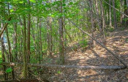 0 Champagne Trail, Dalton, GA 30721
