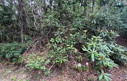 Tbd Dogwood Trail, Hillsville, VA 24343