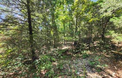 L-50, B-3 Lightning Circle, Highland, AR 72529
