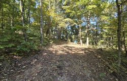 3774 Needmore Road, Princeton, KY 42445