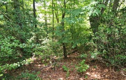 409 STALLION Lane, LUSBY, MD 20657