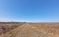 Near KNOWLES RD, Loretta, WI 54896