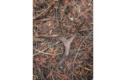 Elk Heights Lane lot: A-4, Heron, MT 59844