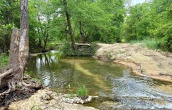 2157 Pleasant Grove Road, Calico Rock, AR 72519-0000
