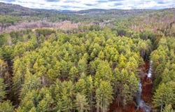 40 E Putney Brook Road, Putney, VT 05346