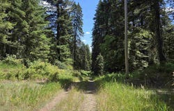 1200 White Pine Flats Rd, Troy, ID 83871