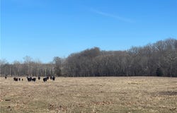 Three Creek Road, Preston, MO 65732