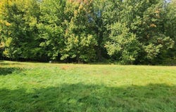 5967 Taylor, Hudson, MI 49426-9714