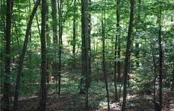1558 Jamestown Road, Menlo, GA 30731