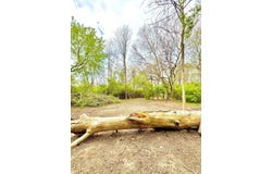 2561 Paw Paw Avenue, Benton Harbor, MI 49022
