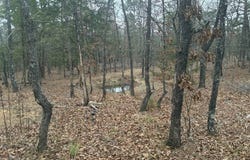 45075 Blake Dr, Wister, OK 74966