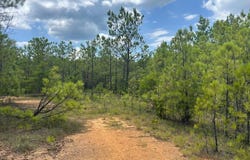 23 Acres TRUMAN ALDRICH PARKWAY, WEST BLOCTON, AL 35184