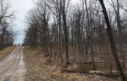 LOGGER Drive lot: 82, GORE, VA 22637