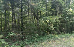 Wildwood Road, Shelbyville, MI 49344
