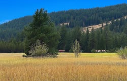 3349 ROCKCUT RD, KETTLE FALLS, WA 99141