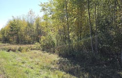 ON CTH W, Winter, WI 54896