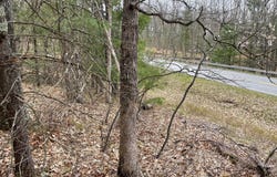 Parcel C Coates Hwy, Brethren, MI 49619