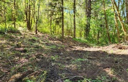 0 SALMON RIVER HWY, Grand Ronde, OR 97347