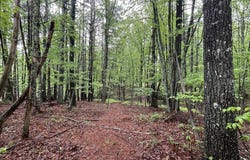 Tbd Wood Lane, Hillsville, VA 24343