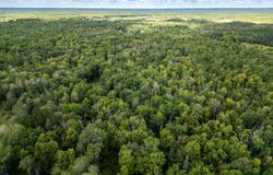 48029 110th Place, Tamarack, MN 55787