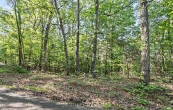 MOUNTAIN LAUREL DR, MOUNT JACKSON, VA 22842