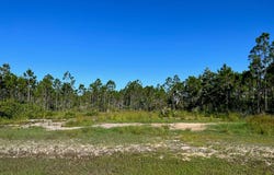 30 Shallow Reed Dr, Port St. Joe, FL 32456