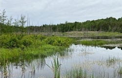 County Route 35, Potsdam, NY 13676