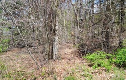 00 East E Hillcrest Street, Mountain City, TN 37683