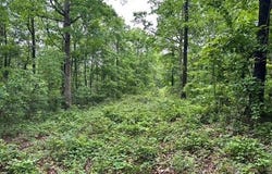 895 Ashwood Road Road, Clinton, AR 72031