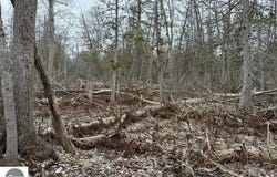 000 PIONEER ROAD, HONOR, MI 49640
