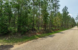3 Acres Courtney Rd., Lumberton, MS 39455