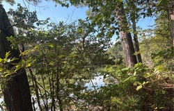 Blackberry Road lot: 4, Reedville, VA 22539