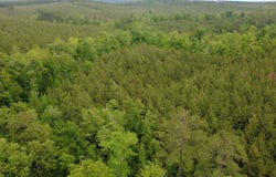 Rocky Ridge Rd, Columbiana, AL 35051