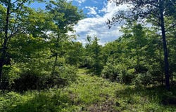Lot 3 810th Street, Sand Creek, WI 54765