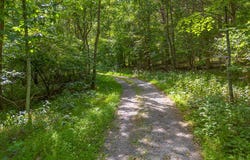 TBD 29.54 acres Hollow Ln, Lexington, VA 24450