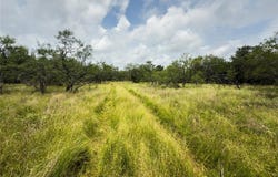 Lot 1 County Road 173, Marlin, TX 76661