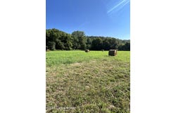 3397 Barebone Rd, Bedford, KY 40006