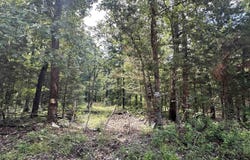 Ash Flat, AR 72513