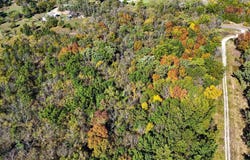 Main Street Road lot: 1 & 2, Sedalia, MO 65301