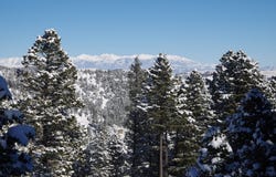 11 Tipsue Road, Livingston, MT 59047