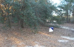 41 Bonaparte Trail, Elloree, SC 29047