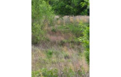 830 White Hawk, Valliant, OK 74764