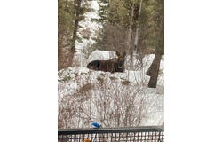 31 Basin Creek Rd, Boulder, MT 59631